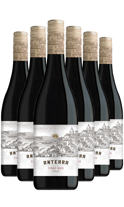 שישיית אנטרה פינו נואר